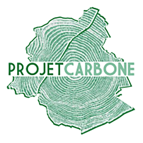 Projet Carbone